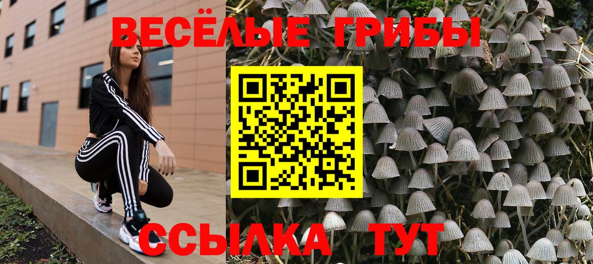 Грозный  Псилоцибиновые грибы Magic Shrooms  Вход с VPN  Псилоцибиновые грибы мухоморы 