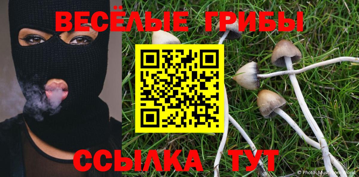 Галлюциногенные грибы GOLDEN TEACHER Грозный